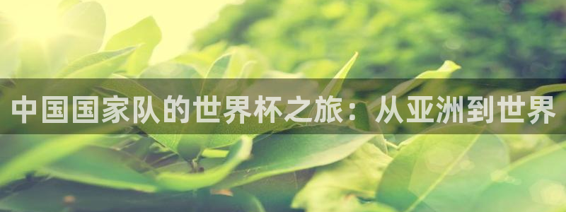 2006年世界杯冠军：中国国家队的世界杯之旅：从亚洲到世界