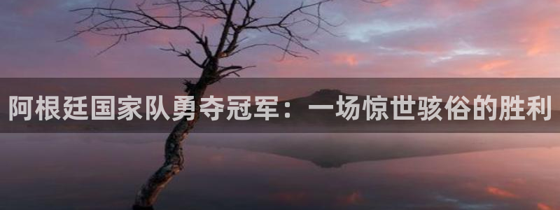 世界杯2026比赛时间表：阿根廷国家队勇夺冠军：一场惊世骇俗的胜利