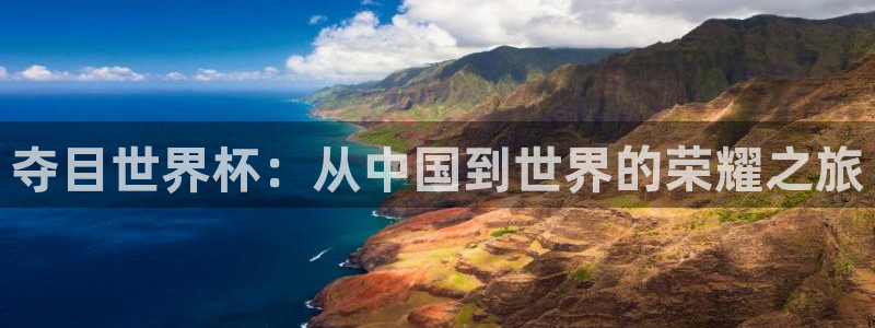 今年世界杯：夺目世界杯：从中国到世界的荣耀之旅