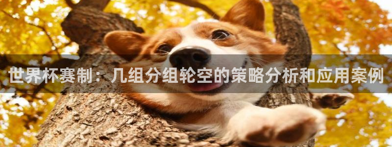 2026世界杯中国队：世界杯赛制：几组分组轮空的策略分析和应用案例
