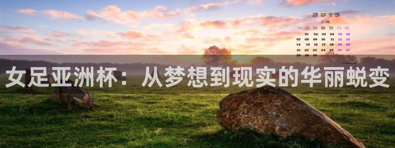 2026世界杯官网入口：女足亚洲杯：从梦想到现实的华丽蜕变