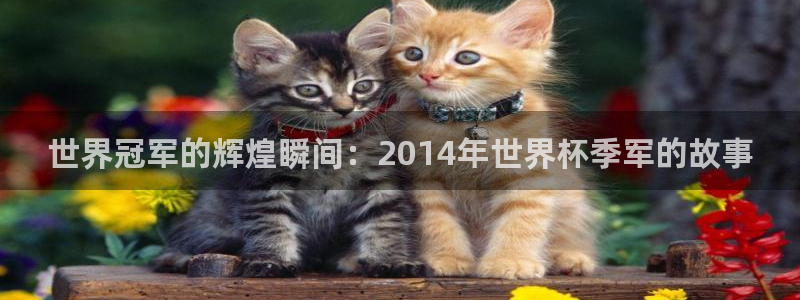 世界杯 赛程：世界冠军的辉煌瞬间：2014年世界杯季军的故事