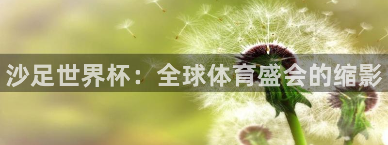 今年的世界杯：沙足世界杯：全球体育盛会的缩影