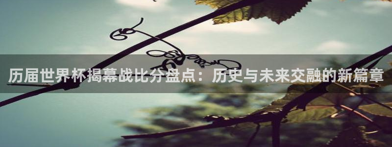 2026世界杯官网：历届世界杯揭幕战比分盘点：历史与未来交融的新篇章