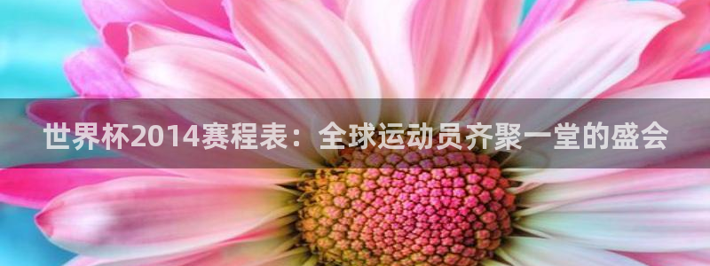 世界杯转播表：世界杯2014赛程表：全球运动员齐聚一堂的盛会