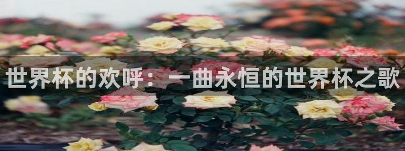 世界杯欧洲区世预赛赛程：世界杯的欢呼：一曲永恒的世界杯之歌