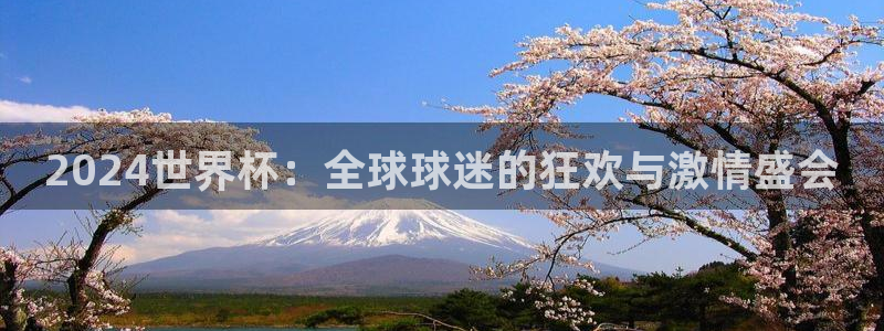 2026世界杯对阵图：2024世界杯：全球球迷的狂欢与激情盛会