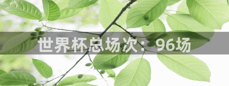 世界杯附加赛赛程表：世界杯总场次：96场